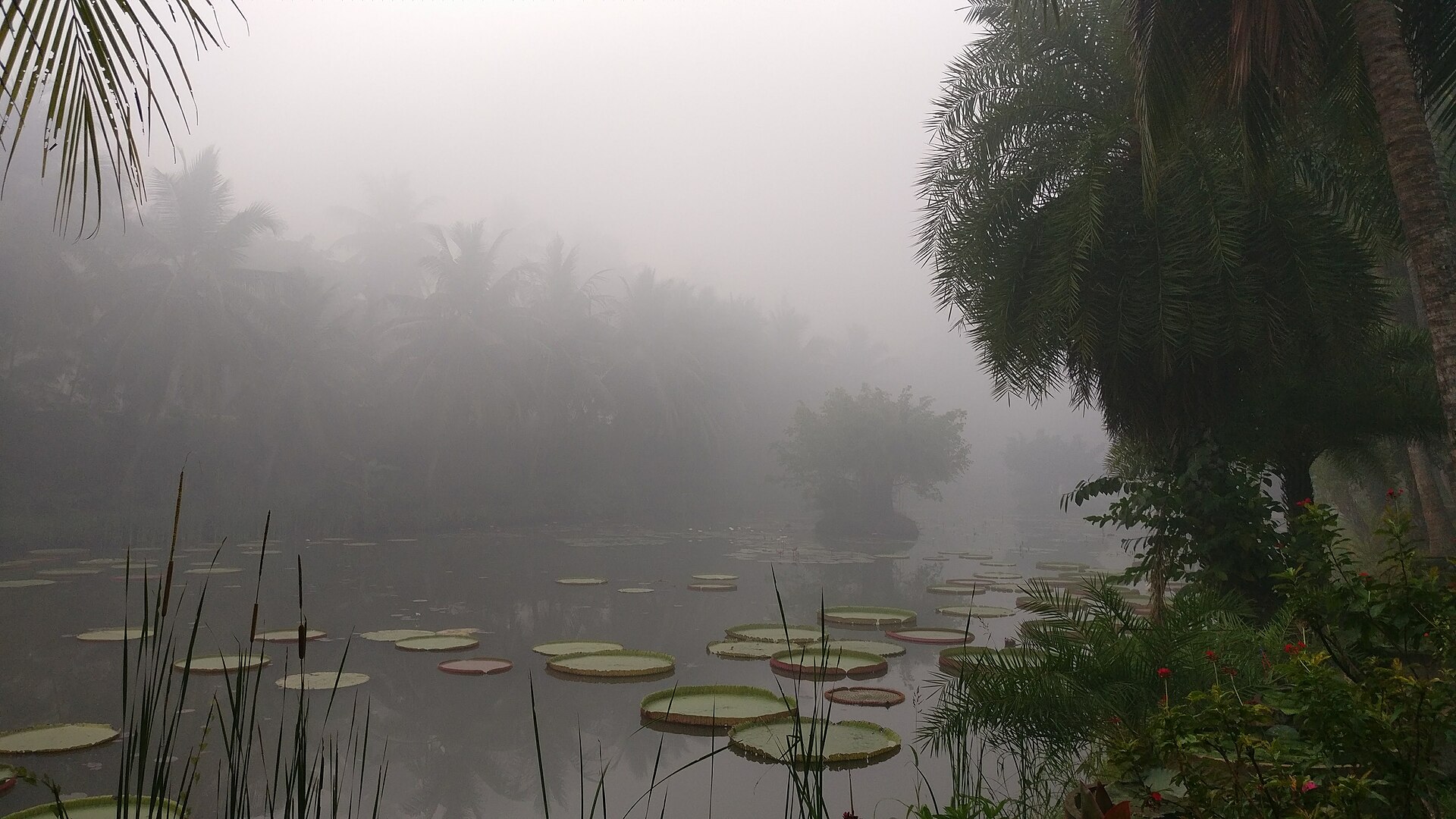 Amazing Andhra Pradesh Tour image 4