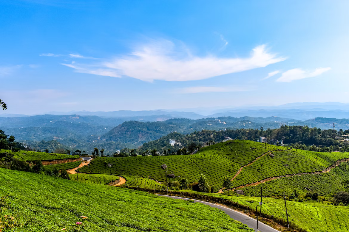 Delightful Kerala From Golden Triangle image 5
