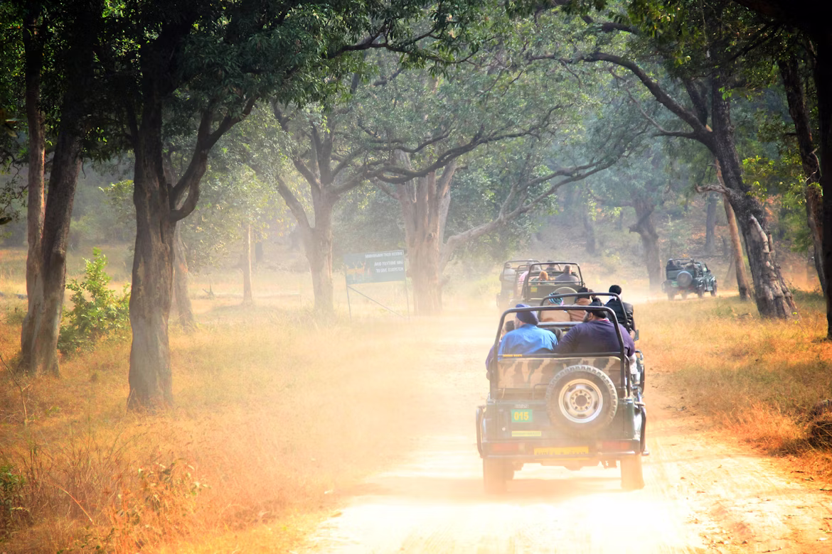 Jabalpur Tour 6 Days image 3