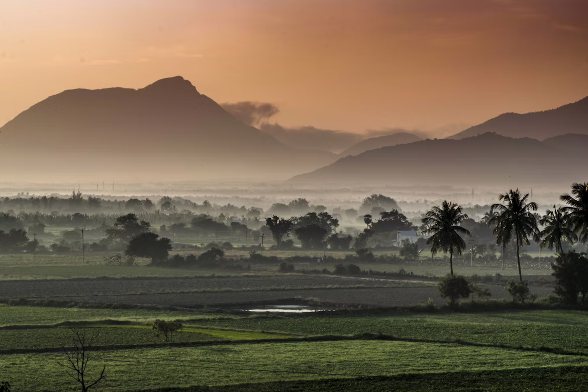 Relishing Rajasthan image 5