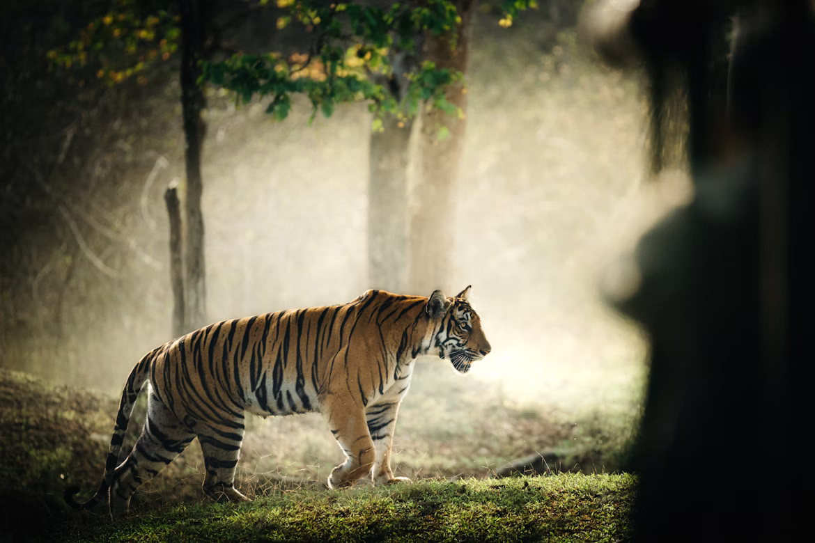 Sightseeing Trip To Karnataka image 8