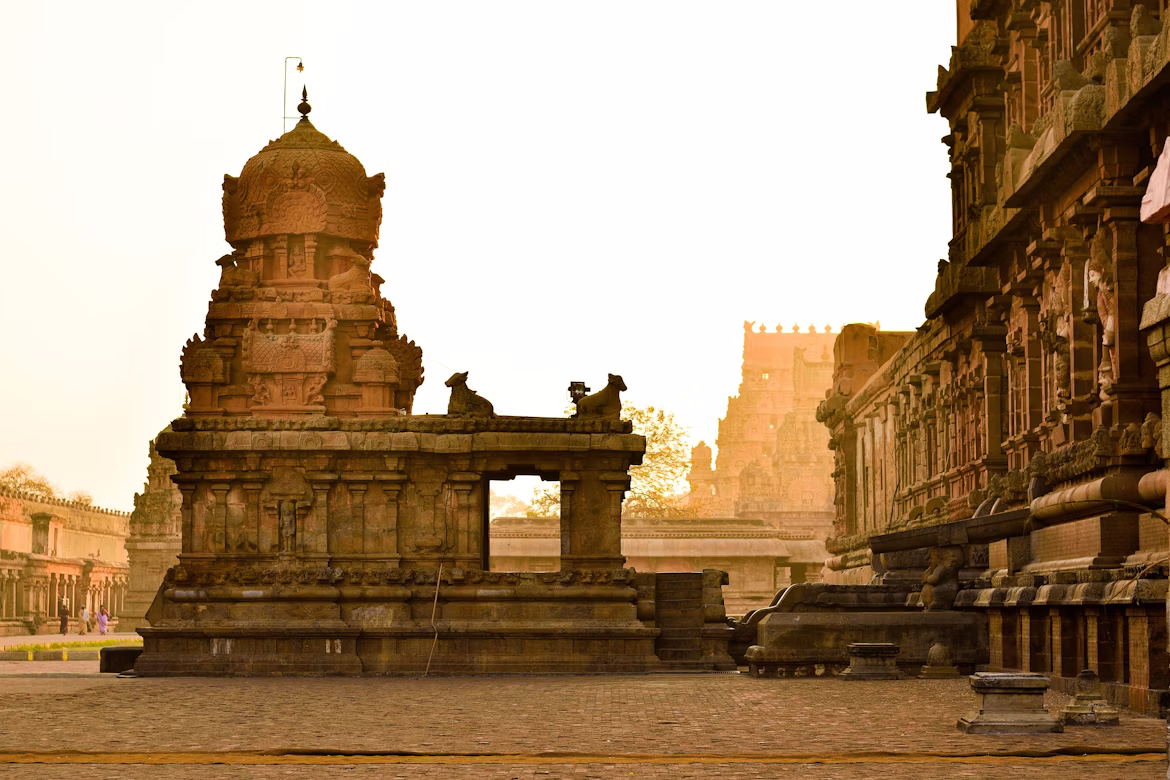 Southern Ayurvedic Retreat Tour image 5
