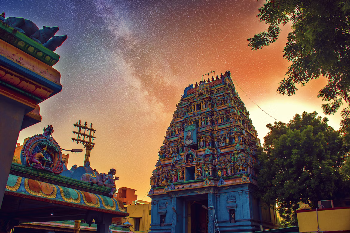 Southern Ayurvedic Retreat Tour image 2