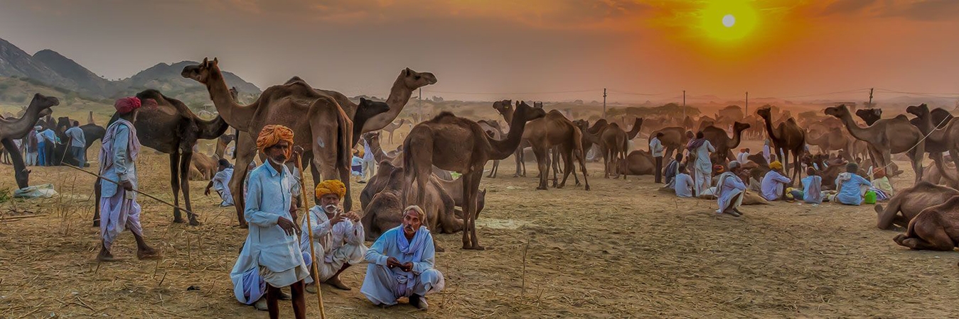 Pushkar Travel Package