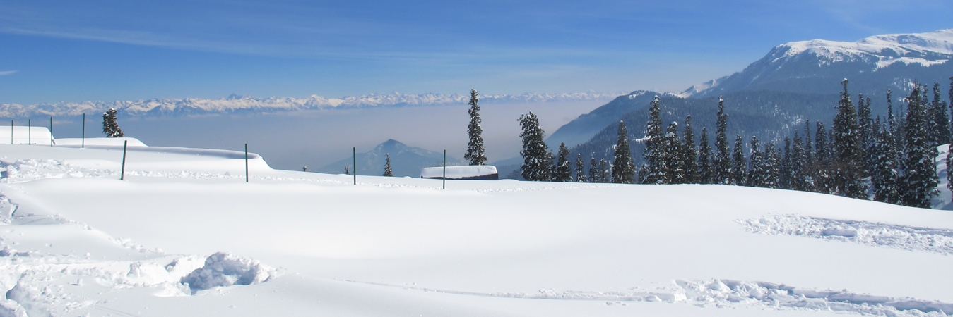 Gulmarg Tourism Package