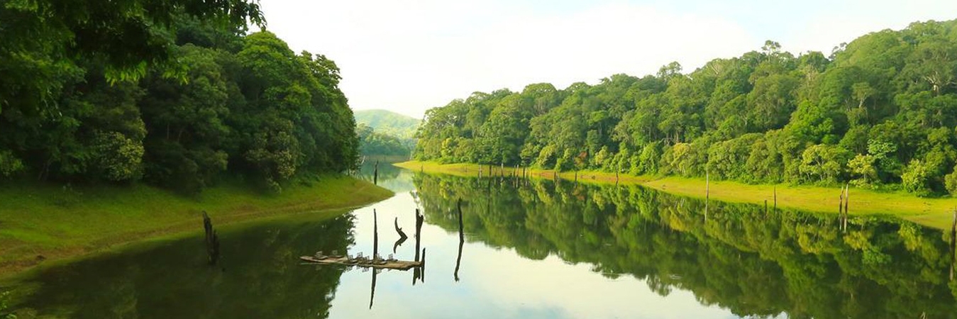 Thekkady Tour Package