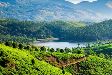 Exotic Kerala Spa & Ayurveda Tour Package 