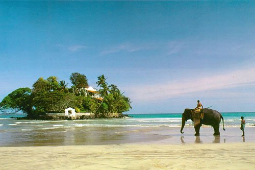 Relaxing Beach Tour